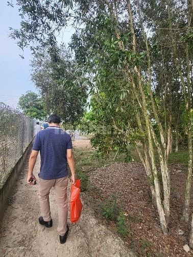 ✅ 1854m2 đất Thủ Thừa Long An. Ngộp bank