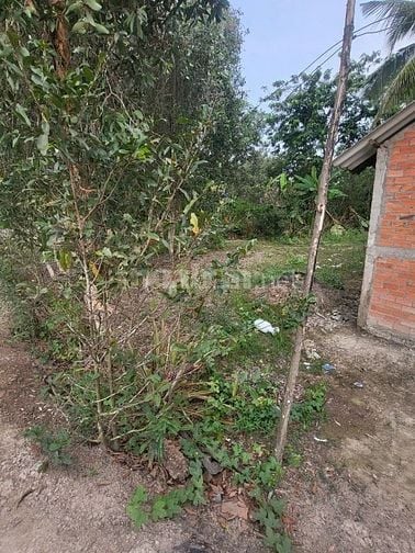 ✅ 1854m2 đất Thủ Thừa Long An. Ngộp bank