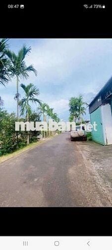 🔥
🌳Bán đất Mặt tiền đường 20A Hoà Thuận , Đạt Lý, Phường Tân An,