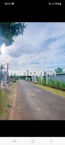 🔥
🌳Bán đất Mặt tiền đường 20A Hoà Thuận , Đạt Lý, Phường Tân An,