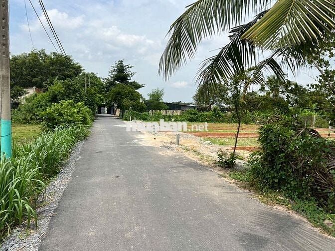 BÁN ĐẤT: 5x30 thổ cư TT Trảng Bàng - Cách  chợ Lộc Hưng 2km - SHR