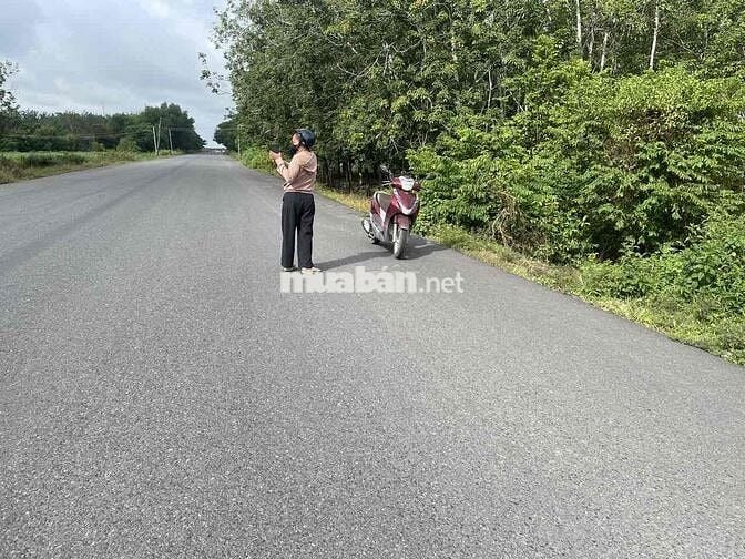 Chính chủ cần bán đất tại đường Hồ Chí Minh, 6 tỷ, 1646,7m2, sổ riêng.
