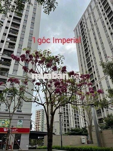 Chính chủ cần bán nhà ở thương mại Imperial Place 3PN 2WC