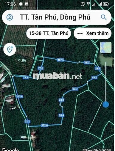 Chính chủ bán đất vườn cao su 3ha trong khu dân cư hiện hữu.