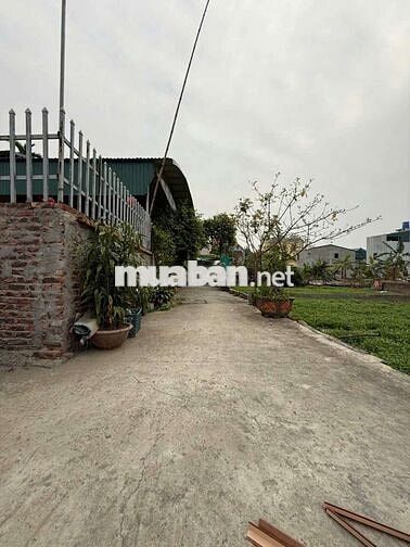 💫 HÀNG HIẾM GIÁ RẺ ĐƯỜNG RỘNG 🚘 ô tô 
** Đc: thư phú - thường Tín -