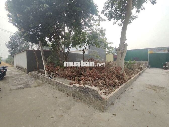 Cơ Hội Đầu Tư Cực Hiếm - Lô Góc 2 Mặt Tiền Gần Vành Đai 4 - Kim Hoa, Cơ Hội Đầu Tư Cực Hiếm - Lô Góc 2 Mặt Tiền Gần Vành Đai 4 - Kim Hoa,