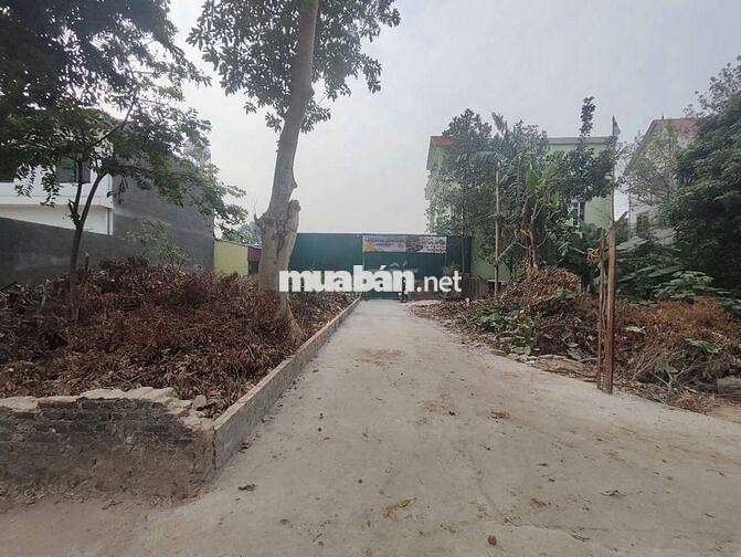 Cơ Hội Đầu Tư Cực Hiếm - Lô Góc 2 Mặt Tiền Gần Vành Đai 4 - Kim Hoa,
