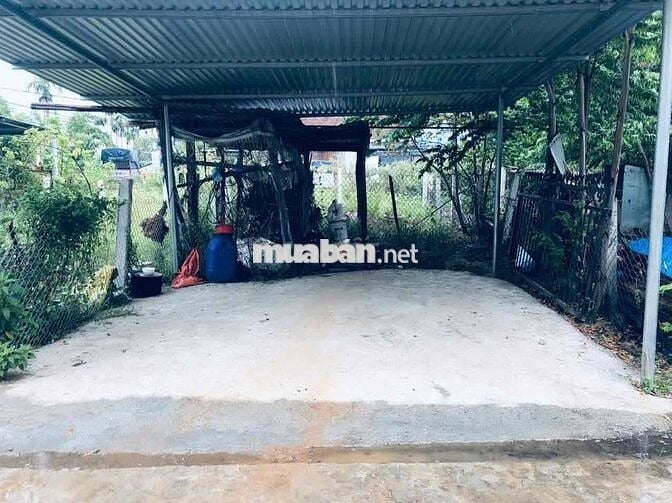 BÁN ĐẤT KIÊT 5M ĐƯỜNG LÊ TRỌNG BẬT