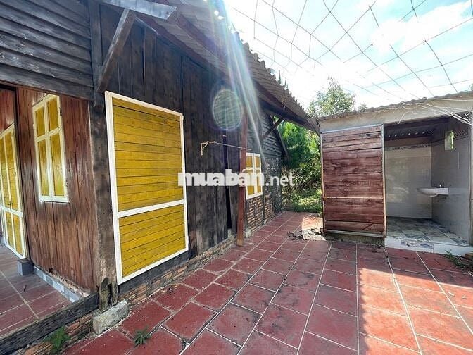 VIEW SĂN MÂY ĐẠI LÀO - BẢO LỘC DT 1009M2(16MX52M) CÓ VƯỜN CÂY ĂN TRÁI