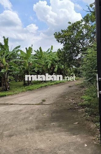 Cần bán 2.13 hecta view suối ở Hắc Dịch,TP.Phú Mỹ