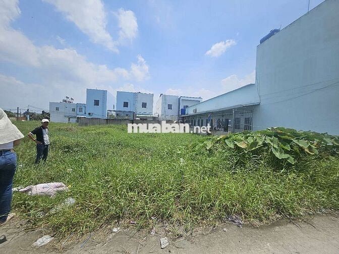 KẸT TIỀN CẦN BÁN ĐẤT THỔ CƯ( KDC Trần Anh, Mỹ Hạnh Nam)