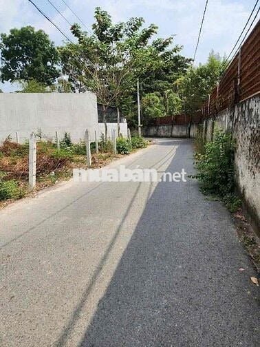 Chủ cần ra gấp lô đất ngay minh hưng, chơn thành giá 530triệu