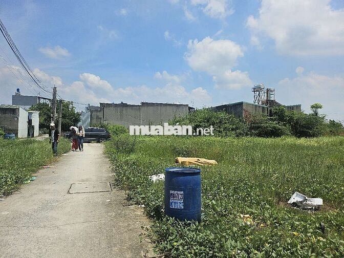 KẸT TIỀN CẦN BÁN ĐẤT THỔ CƯ( KDC Trần Anh, Mỹ Hạnh Nam)