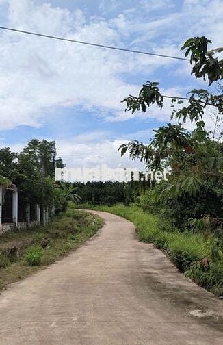 Cần bán 2.13 hecta view suối ở Hắc Dịch,TP.Phú Mỹ