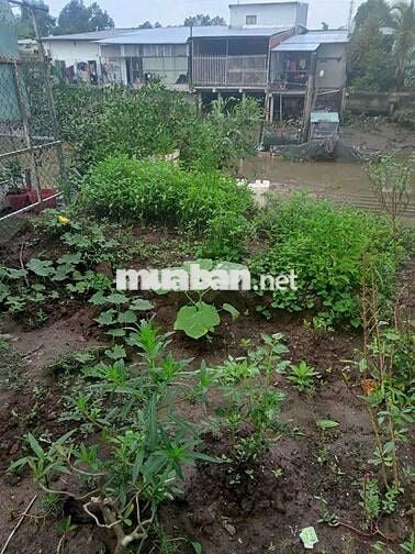 Bán nhà vườn số 109C đường cặp sông Cái Răng Bé, cách quốc lộ 1A 500m