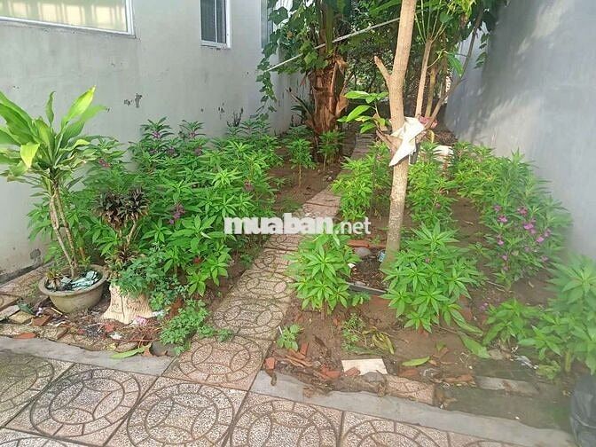Bán nhà vườn số 109C đường cặp sông Cái Răng Bé, cách quốc lộ 1A 500m