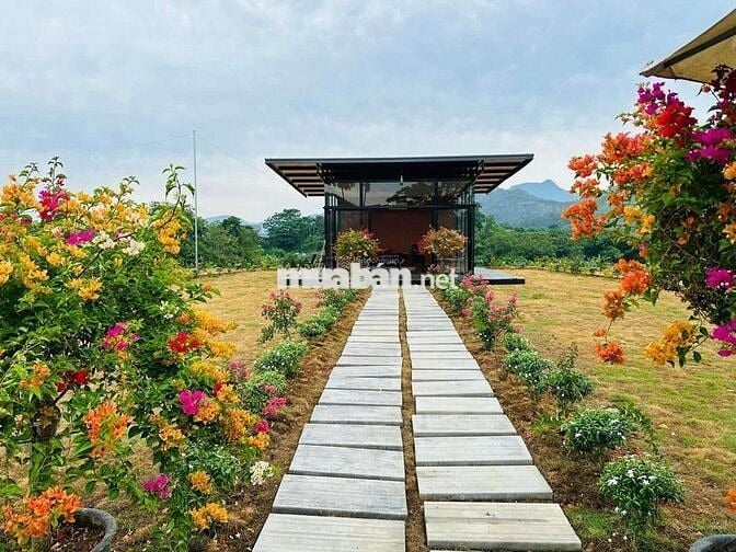 Bán đất Tiến Xuân,13,5 tr.m, ngay sát Xanh Villas, Gần Ga Metro 5