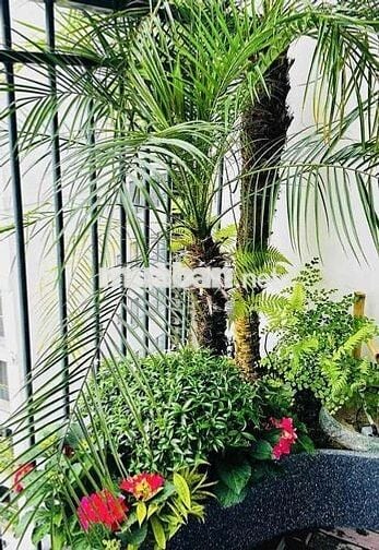 Chính chủ bán căn hộ 2pn HongKong Tower 6,6 tỷ