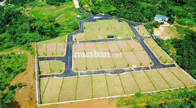 Cần bán gấp 5 lô đất vị trí siêu phẩm tại Hòa Lạc