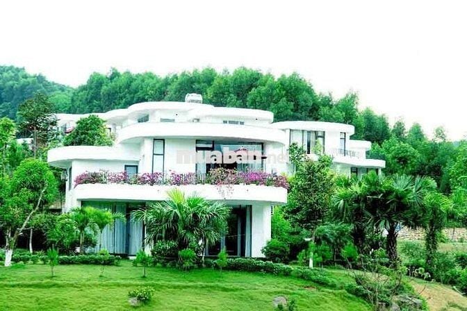Bán đất Tiến Xuân,13,5 tr.m, ngay sát Xanh Villas, Gần Ga Metro 5