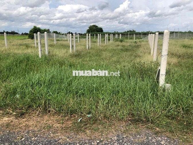 Đất nền thổ cư 60m2 Tân Hưng , Tây Ninh