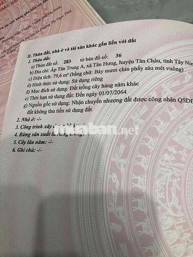 Đất nền thổ cư 60m2 Tân Hưng , Tây Ninh