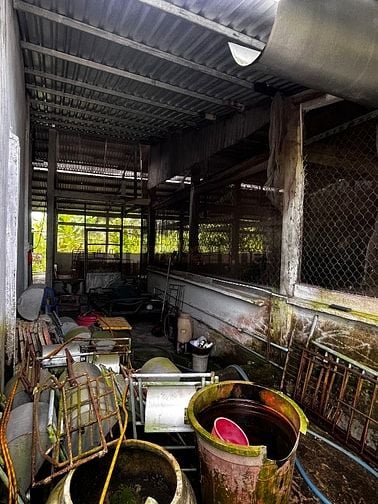 CHÍNH CHỦ! Nhà vườn gần chợ long phú , thích hợp trồng trọt chăn nuôi