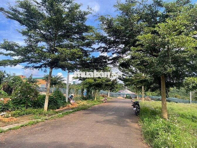 CHỈ 800TR ĐẤT NGAY THÔN 4 LỘC AN - BẢO LÂM - CÁCH QL20 CHỈ 100M