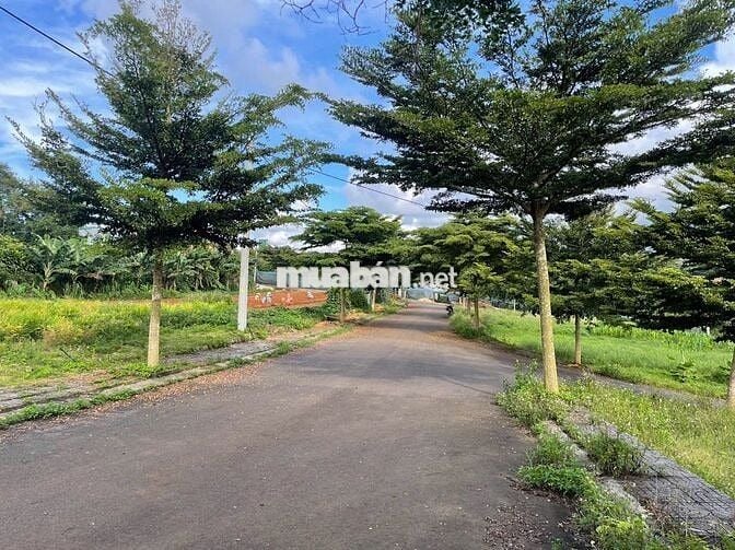 CHỈ 800TR ĐẤT NGAY THÔN 4 LỘC AN - BẢO LÂM - CÁCH QL20 CHỈ 100M