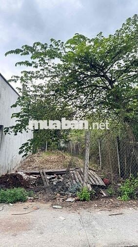 🔥🔥NỀN full thổ cổng chính KCN AN HIỆP 🌍 Diện tích: 111 m2 (ngang 5×23m