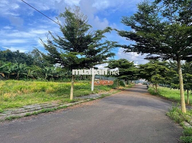 CHỈ 800TR ĐẤT NGAY THÔN 4 LỘC AN - BẢO LÂM - CÁCH QL20 CHỈ 100M