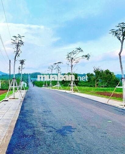 CHÍNH CHỦ CẮT LỖ ĐẤT BIỆT THỰ VƯỜN BẢO LỘC, DT300M2/ 679 TRIỆU, SỔ SẴN
