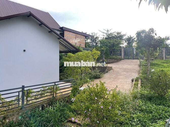 Nhà vườn nghỉ dưỡng 516,6m2 -170m thổ cư – đường lớn, sổ sẵn,giá 2.4tỉ