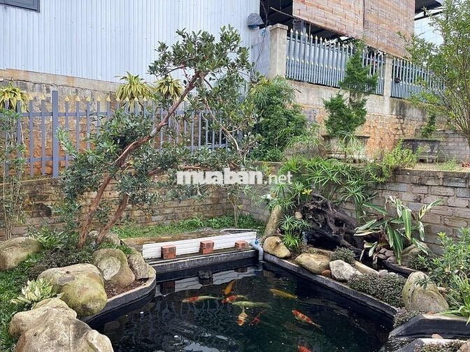 Nhà vườn nghỉ dưỡng 516,6m2 -170m thổ cư – đường lớn, sổ sẵn,giá 2.4tỉ