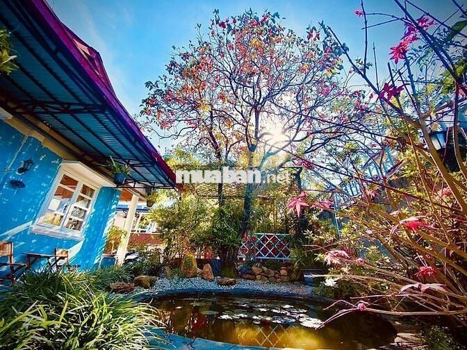 Đất view Xây Villa Gần Trung Tâm Đà Lạt 233m2 7,5 Tỷ