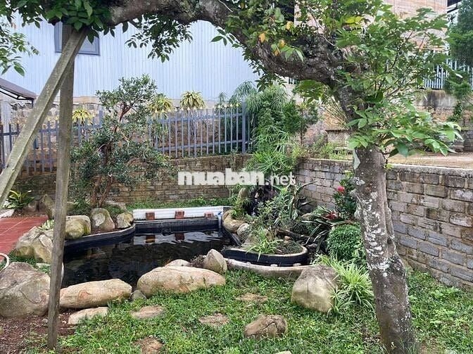 Nhà vườn nghỉ dưỡng 516,6m2 -170m thổ cư – đường lớn, sổ sẵn,giá 2.4tỉ