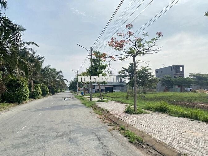 Ngang 7 x 43m thổ cư - Trường Bình - Cần Giuộc - 825TR - sổ riêng