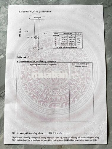 Đất ven DT784 – Tâm điểm đầu tư sinh lời tại Gò Dầu, Tây Ninh!
