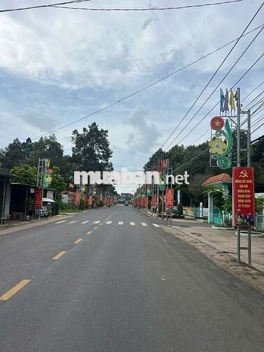 Chính chủ cần bán đất An Linh, Phú Giáo, 590m2 (10x59) TC 100m2, 700tr