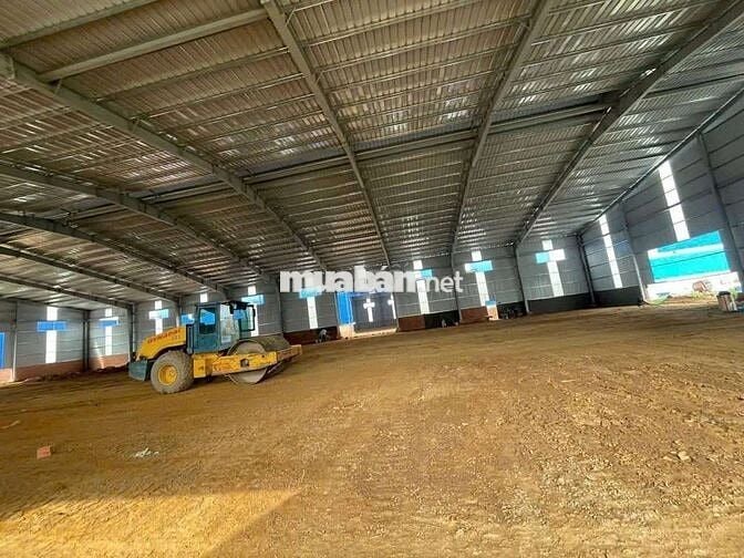 Cho thuê xưởng 12000m2 tại Vĩnh Tân Tân Uyên Bình Dương