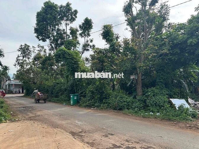 CẦN BÁN LÔ GÓC 2 MẶT TIỀN PHƯỜNG TÂN AN .