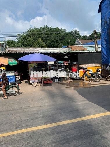 Chính chủ cần bán đất An Linh, Phú Giáo, 590m2 (10x59) TC 100m2, 700tr