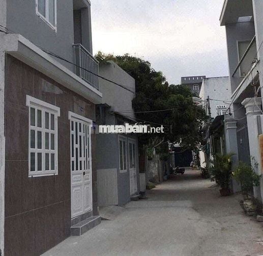 Bán dãy trọ hẻm oto 176 trương công định giá tốt