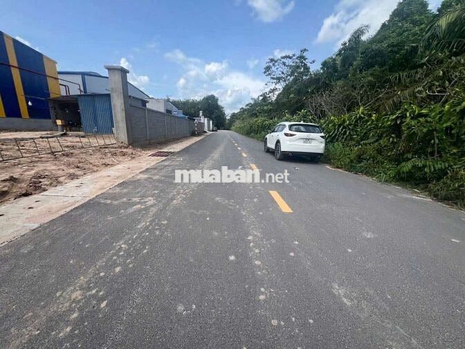 Cho thuê xưởng 6550m2 tại Vĩnh Tân Tân Uyên Bình Dương