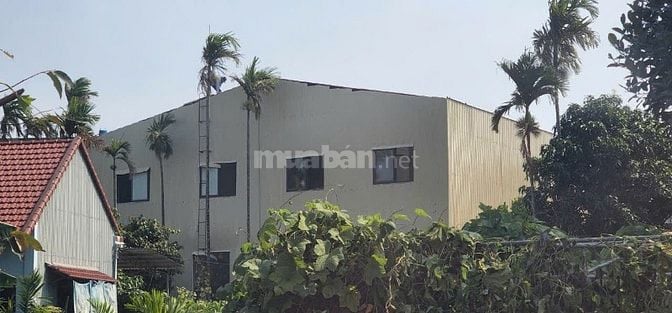 BÁN ĐẤT MẶT TIỀN QUỐC LỘ 1A – XÃ TƯ NGHĨA, QUẢNG NGÃI