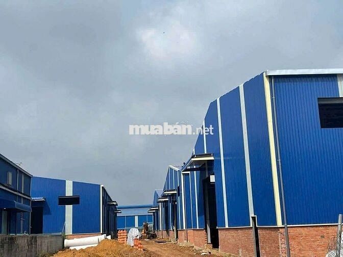 Cho thuê xưởng 12000m2 tại Vĩnh Tân Tân Uyên Bình Dương