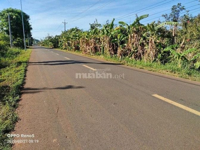  Bán đất 110 m mặt tiền , Trục đường liên xã Kim Long , TP HCM 