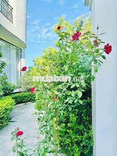 VILLA VIEW TOÀN CẢNH VỊNH NHA TRANG 5 PHÒNG NGỦ GIÁ 70 TRIỆU/THÁNG