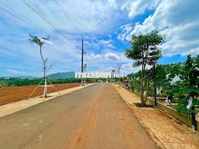 SỞ HỮU 2 LÔ ĐẤT LIỀN KỀ – VỐN BAN ĐẦU 649 TRIỆU