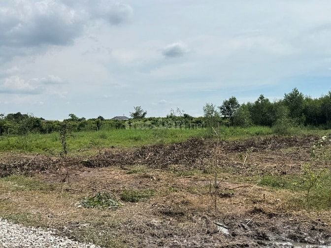 🏡 BÁN ĐẤT NỀN GIÁ RẺ – TRUNG TÂM XÃ BẦU ĐỒN, GÒ DẦU, TÂY NINH 🌿